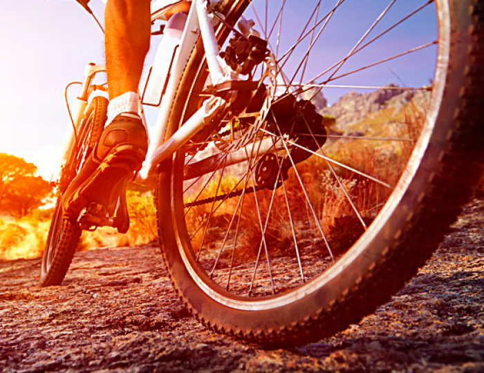 Прокат - Парк-отель ZVENIGOROD / Звенигород