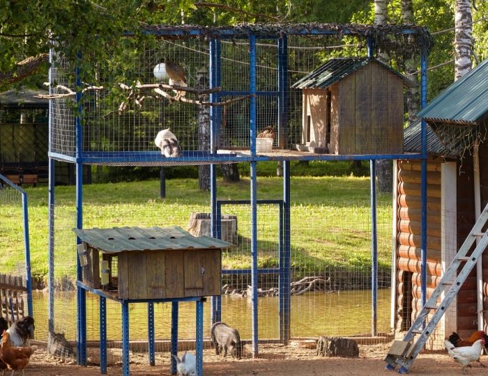 Фермерский дворик - Парк-отель ZVENIGOROD / Звенигород