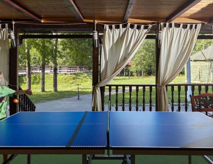 Настольный теннис - Парк-отель ZVENIGOROD / Звенигород