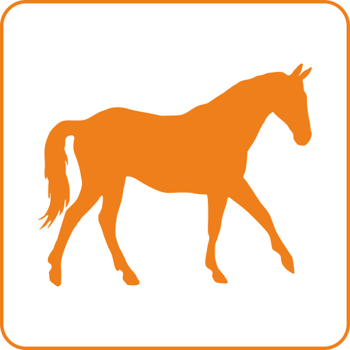 Конные прогулки